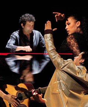 Affiche de Flamenco y Puro