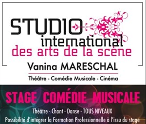 Affiche de Stage comedie musicale Mama Mia / Chicago