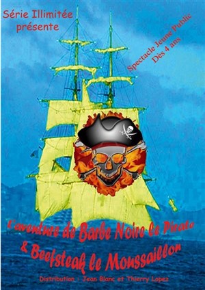 Affiche de Pirates à bord du Mysterious Time