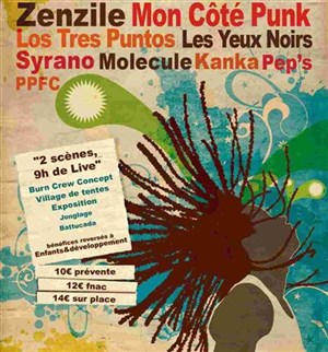 Affiche de Festival Music to Rock the Nation
