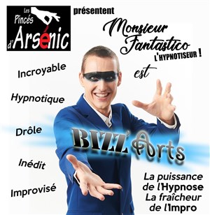 Affiche de Monsieur Fantastico est Bizz'Arts
