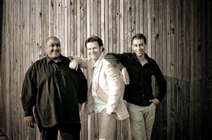 Affiche de Thierry Fanfant Trio invite Tricia Evy