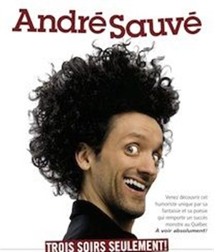Affiche de André Sauvé