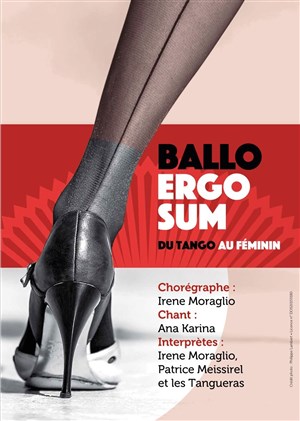 Affiche de Ballo Ergo Sum
