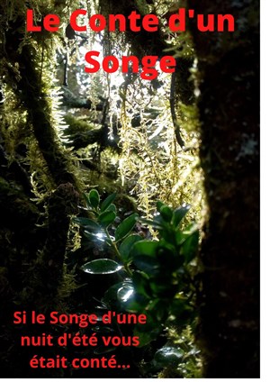 Affiche de Le Conte d'un songe