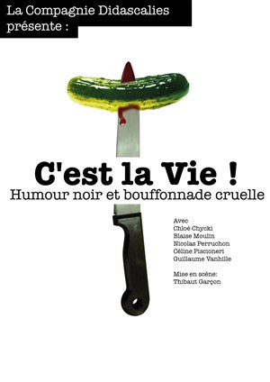 Affiche de C'est la Vie !