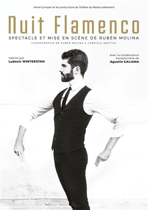 Affiche de Nuit Flamenco
