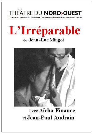 Affiche de L'irréparable