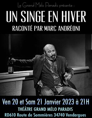 Affiche de Un singe en hiver