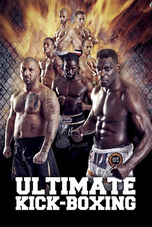 Affiche de Ultimate Kick-Boxing II : Le combat continue