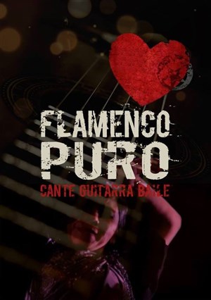 Affiche de Puro Flamenco