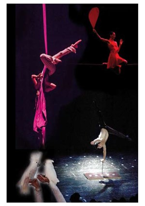 Affiche de Le Cirque des Sortilège