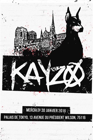 Affiche de Kayzo