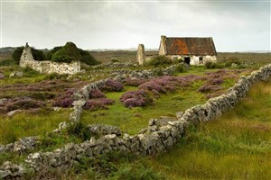 Affiche de L'âme de l'Irlande