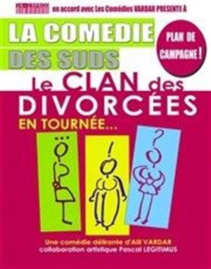 Affiche de Le clan des divorcées
