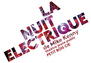 Affiche de La nuit électrique