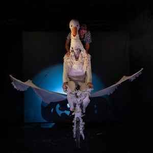 Le merveilleux voyage de Nils