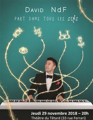 Affiche de David NdF dans David NdF part dans tous les sens