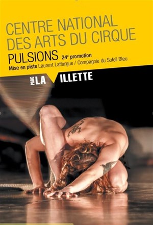 Affiche de Pulsions