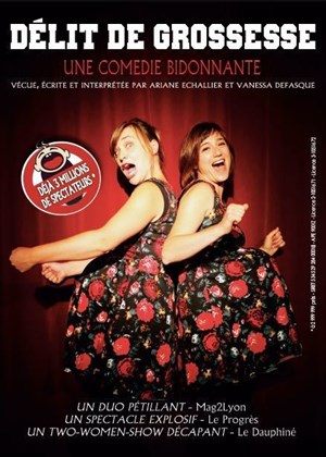 Affiche de Délit de grossesse
