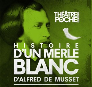 Affiche de Histoire d'un merle blanc