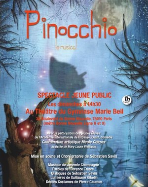 Affiche de Pinocchio le musical