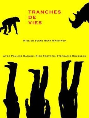 Affiche de Tranches de vies