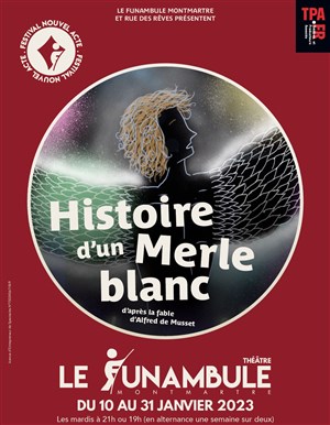 Affiche de Histoire d'un merle blanc