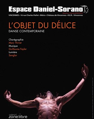 Affiche de L'Objet du Délice