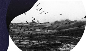 Affiche de Le tumulte grondant de la mer