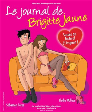 Affiche de Le Journal de Brigitte Jaune