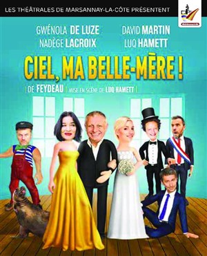 Affiche de Ciel ma belle-mère !