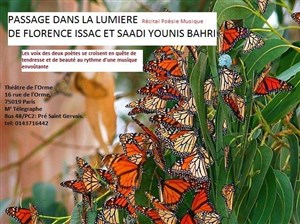 Affiche de Passage dans la lumière