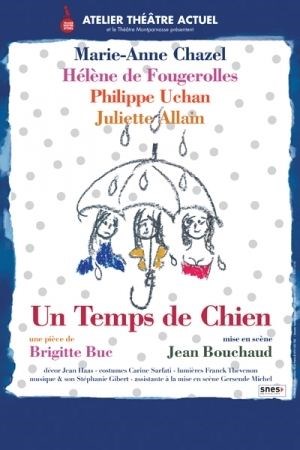 Affiche de Un temps de Chien | avec Marie-Anne Chazel et Hélène de Fougerolles