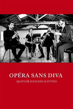 Affiche de Opera sans diva