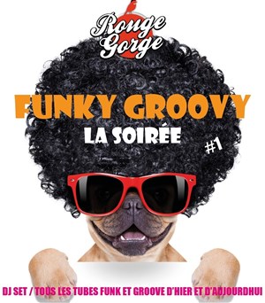 Affiche de Funky groovy : La soirée