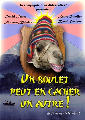 Affiche de Un boulet peut en cacher un autre