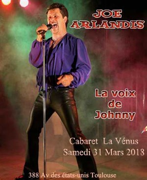 Affiche de Johnny Hallyday par Joe Arlandis
