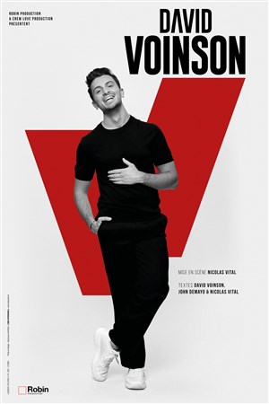 Affiche de David Voinson