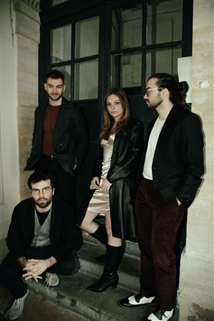 Affiche de Lady in Velour