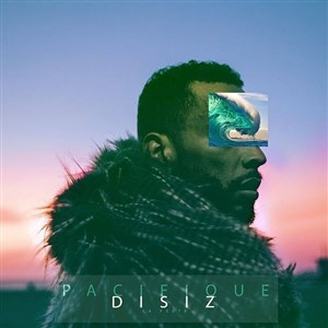 Affiche de Disiz la peste + Ben l'oncle rap