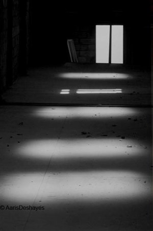 Affiche de Entre ombre et lumière
