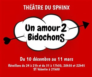 Affiche de Un Amour 2 Bidochons