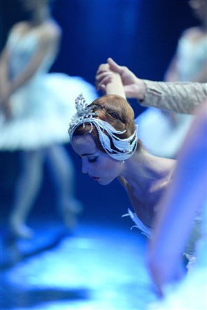 Affiche de Le lac des cygnes