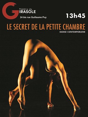 Affiche de Le secret de la petite chambre