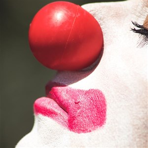 Affiche de Polit'circus