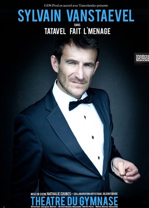 Affiche de Sylvain Vanstaevel dans Tatavel fait l'ménage