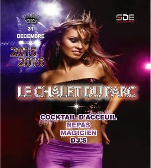 Affiche de Nouvel an 2015
