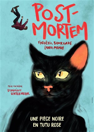 Affiche de Post Mortem
