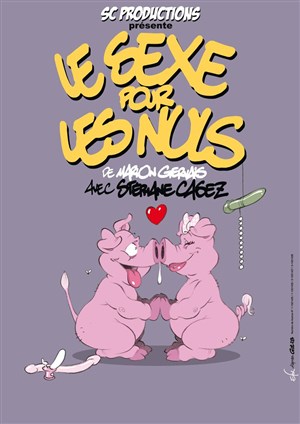 Affiche de Le sexe pour les nuls